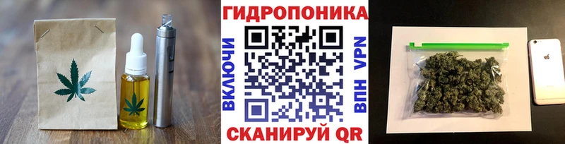 Canna-Cookies конопля  это состав  Нижнеудинск 