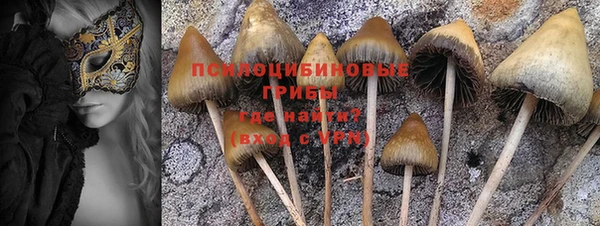 стаф Армянск