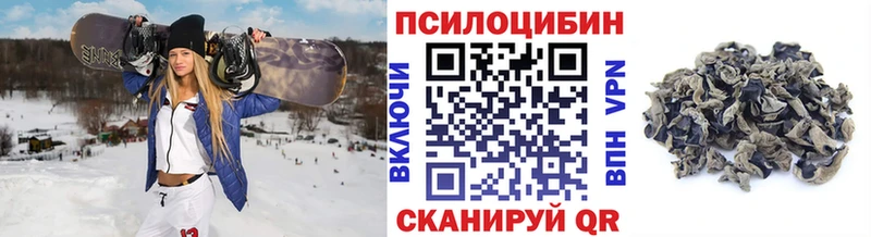 omg ссылка  Нижнеудинск  Галлюциногенные грибы мицелий  закладка 