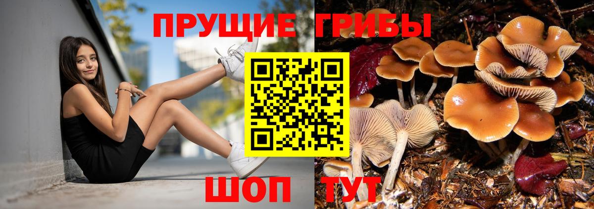 Галлюциногенные грибы прущие грибы  Вход с VPN  Нижнеудинск  Галлюциногенные грибы Cubensis 