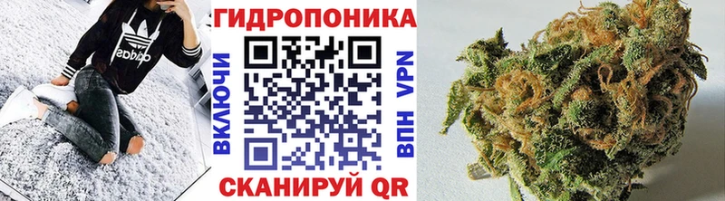 закладки  Нижнеудинск  МАРИХУАНА MAZAR 